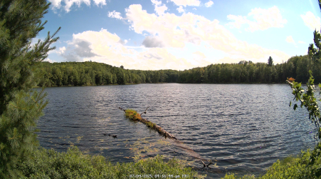 Image from 2025-07-04