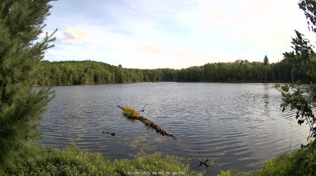 Image from 2025-07-04