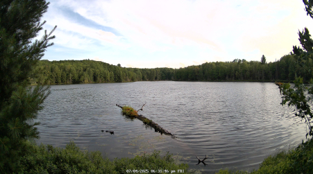 Image from 2025-07-04