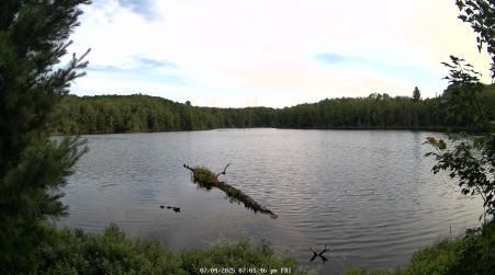 Image from 2025-07-04