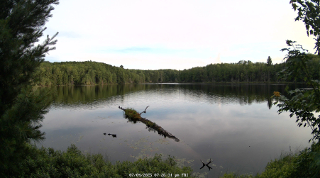 Image from 2025-07-04