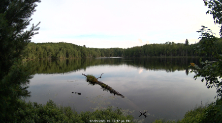 Image from 2025-07-04