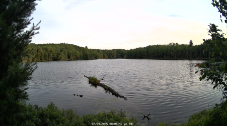 Image from 2025-07-04