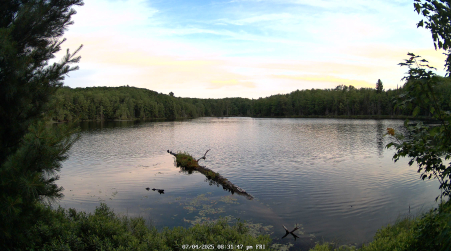 Image from 2025-07-04