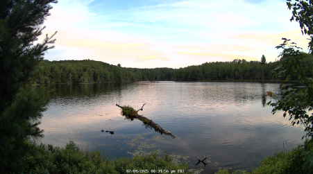 Image from 2025-07-04