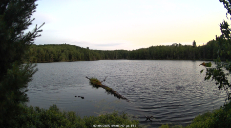 Image from 2025-07-04