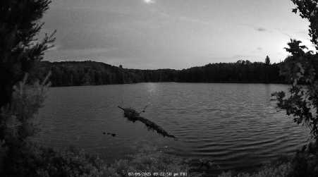 Image from 2025-07-04