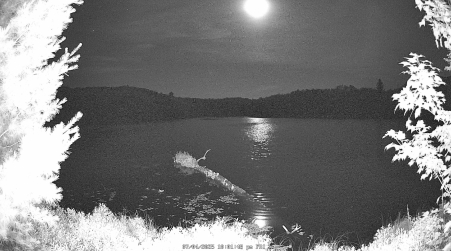 Image from 2025-07-04