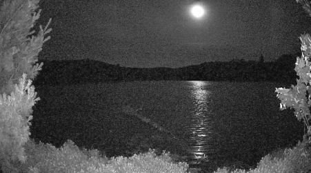 Image from 2025-07-04