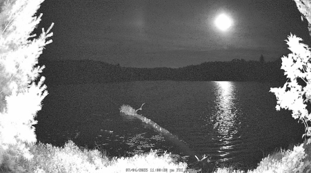 Image from 2025-07-04