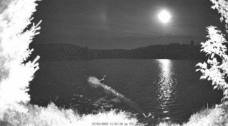 Image from 2025-07-04