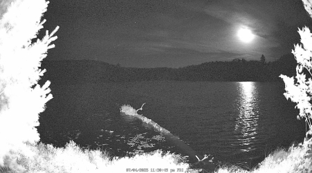 Image from 2025-07-04