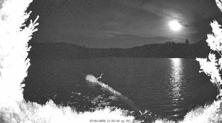 Image from 2025-07-04