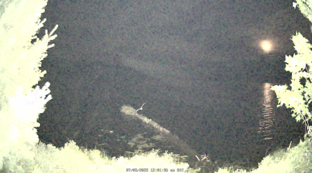 Image from 2025-07-05