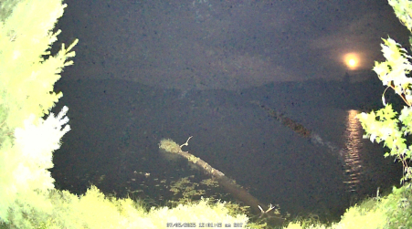 Image from 2025-07-05