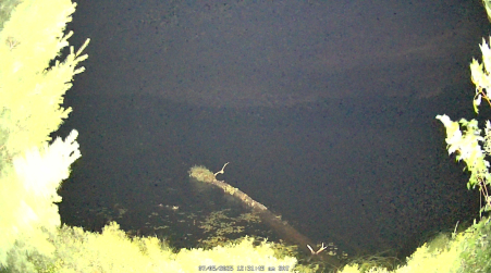 Image from 2025-07-05