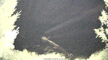 Image from 2025-07-05