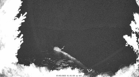 Image from 2025-07-05