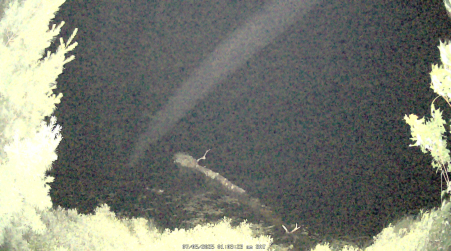 Image from 2025-07-05