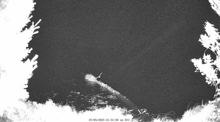 Image from 2025-07-05