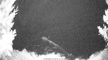 Image from 2025-07-05