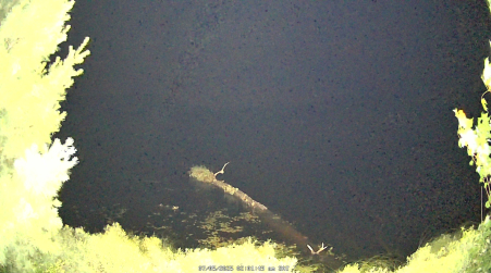 Image from 2025-07-05
