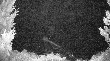 Image from 2025-07-05