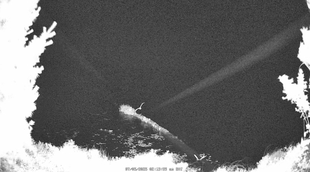 Image from 2025-07-05