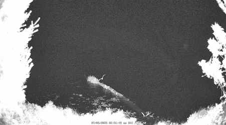 Image from 2025-07-05