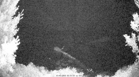 Image from 2025-07-05