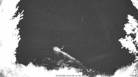 Image from 2025-07-05