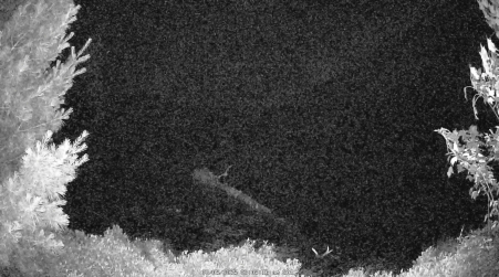Image from 2025-07-05
