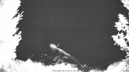 Image from 2025-07-05