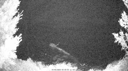 Image from 2025-07-05