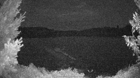 Image from 2025-07-05