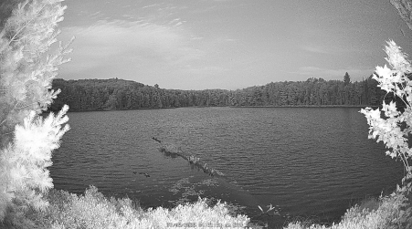 Image from 2025-07-05
