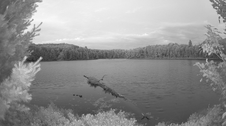 Image from 2025-07-05