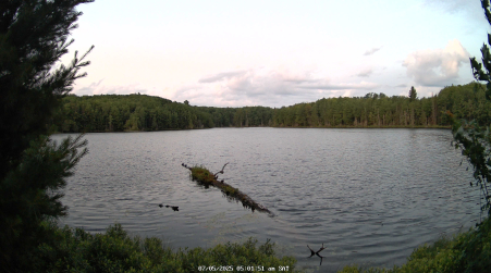 Image from 2025-07-05