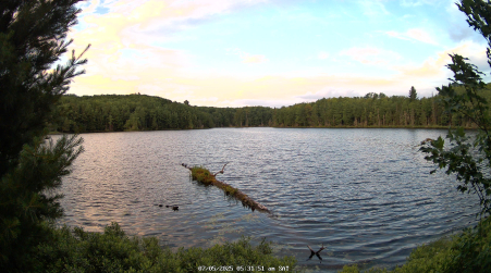 Image from 2025-07-05