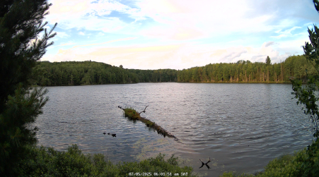 Image from 2025-07-05