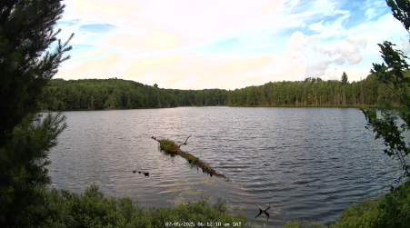 Image from 2025-07-05