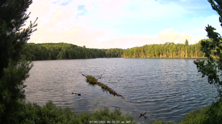 Image from 2025-07-05