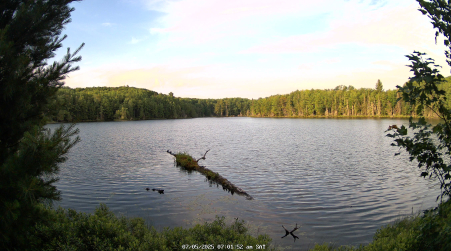 Image from 2025-07-05
