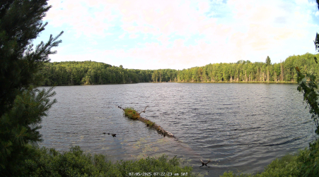 Image from 2025-07-05