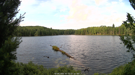 Image from 2025-07-05