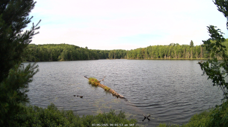 Image from 2025-07-05
