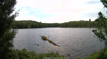 Image from 2025-07-05