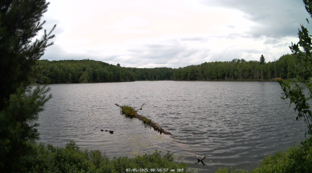 Image from 2025-07-05