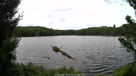 Image from 2025-07-05