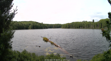 Image from 2025-07-05